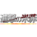 進撃の米菲 (attack on titan)