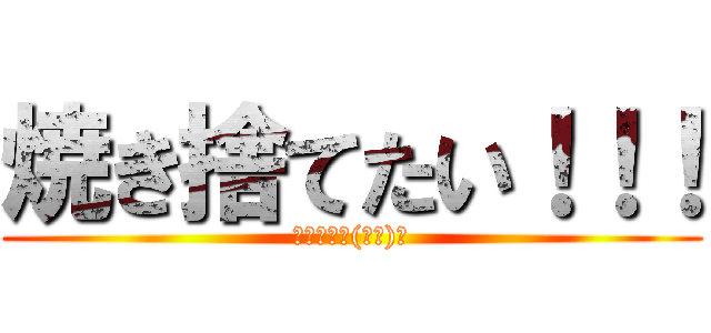 焼き捨てたい！！！ (狂った現実(いま)を)