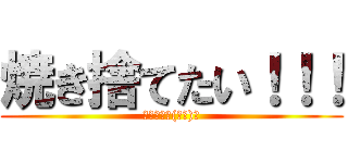 焼き捨てたい！！！ (狂った現実(いま)を)