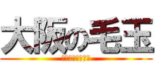 大阪の毛玉 (けもじゃのえみみ)