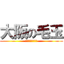 大阪の毛玉 (けもじゃのえみみ)