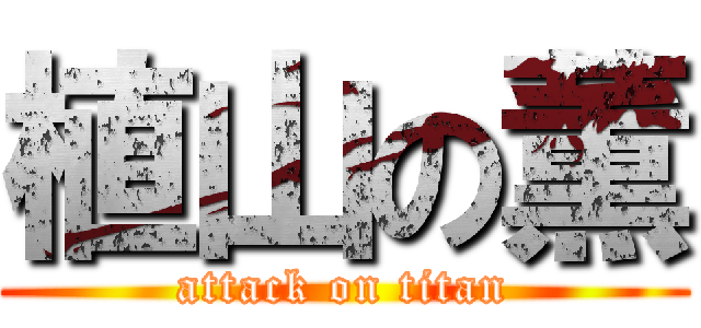 植山の薫 (attack on titan)