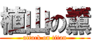 植山の薫 (attack on titan)