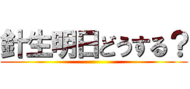 針生明日どうする？ ()