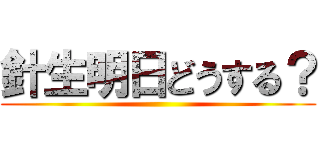 針生明日どうする？ ()