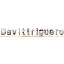 Ｄａｖｉｔｔｒｉｇｕｅｒｏ (Brokenmoonful)
