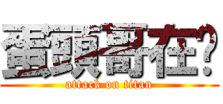 蛋頭哥在嗎 (attack on titan)
