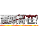 蛋頭哥在嗎 (attack on titan)