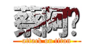 蔡阿嘎 (attack on titan)