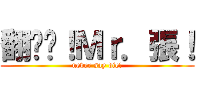 翻滚吧！Ｍｒ．張！ (never say die!)