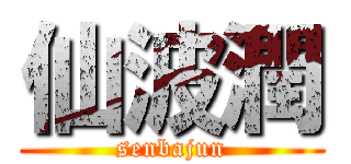 仙波潤 (senbajun)
