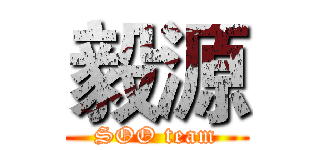 毅源 (SOO team)