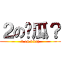 ２の傻瓜？ (2 on bitch)