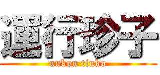 運行珍子 (unkou tinko)