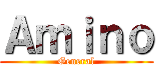Ａｍｉｎｏ (General)