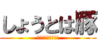 しょうとは豚 (人豚という種類です)
