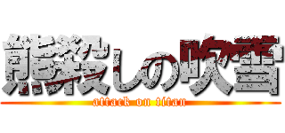 熊殺しの吹雪 (attack on titan)