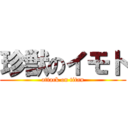 珍獣のイモト (attack on titan)