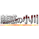 魅惑の小川 (beautiful on ogatan)