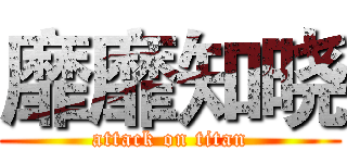 靡靡知晓 (attack on titan)