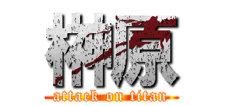 榊原 (attack on titan)