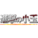 進撃の小玉 (attack on Kodama)