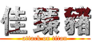 佳 臻 豬 (attack on titan)