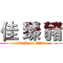 佳 臻 豬 (attack on titan)