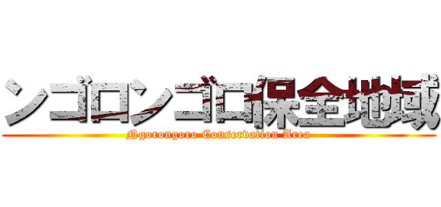 ンゴロンゴロ保全地域 (Ngorongoro Conservation Area)