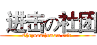  进击の社团 (Chrysanthemum cult )