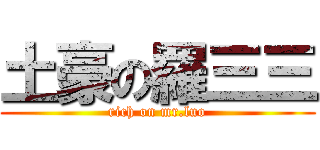 土豪の羅三三 (rich on mr.luo)