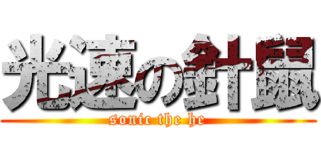 光速の針鼠 (sonic the he)