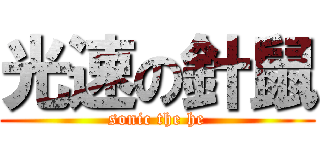 光速の針鼠 (sonic the he)