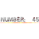 ＮＵＭＢＥＲ：   ４５ (number:   45)