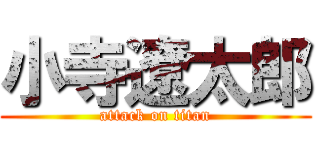 小寺遼太郎 (attack on titan)