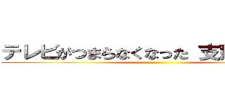 テレビがつまらなくなった 支那ＳＰＡＭ ()