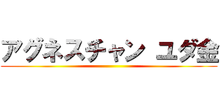 アグネスチャン ユダ金 ()