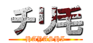 チリ毛 (HAYASHI)