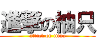 進撃の柚只 (attack on titan)