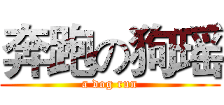 奔跑の狗瑶 (a dog run)