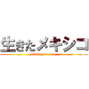 生きたメキシコ (living mexico)