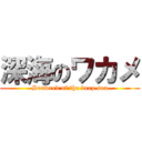 深海のワカメ (Seaweed of the deep sea)