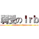 弱受のｌｒｂ (lrb of ruoshou)