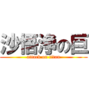 沙悟浄の巨 (attack on titan)