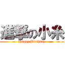 進撃の小糸 (Happy Birthday)