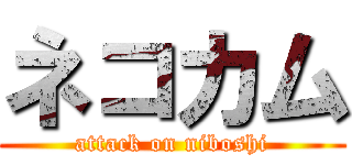 ネコカム (attack on niboshi)