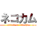 ネコカム (attack on niboshi)