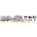 進撃の巨乳ミカサ (attack on titan)