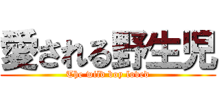愛される野生児 (The wild boy loved)