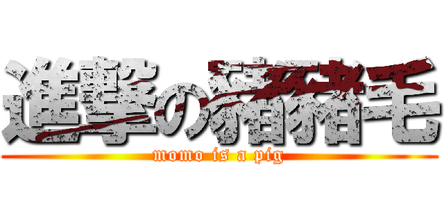 進撃の豬豬毛 (momo is a pig)